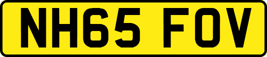 NH65FOV