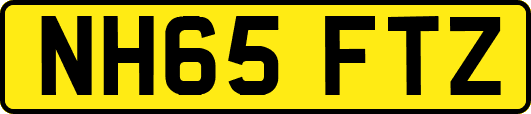 NH65FTZ