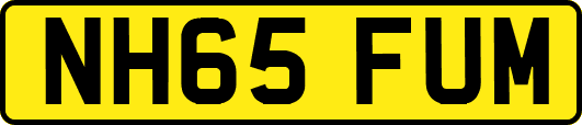 NH65FUM