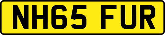 NH65FUR