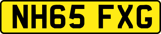 NH65FXG