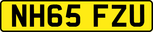 NH65FZU