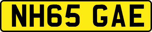NH65GAE
