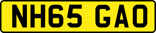 NH65GAO