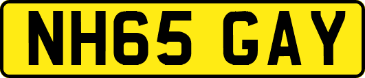 NH65GAY