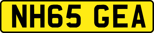 NH65GEA