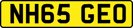 NH65GEO