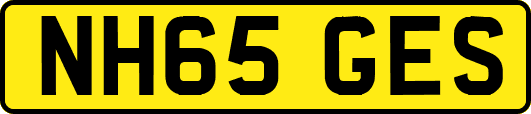 NH65GES