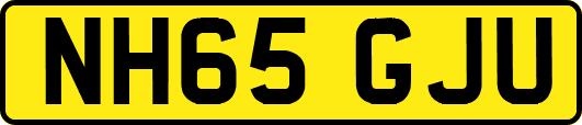 NH65GJU