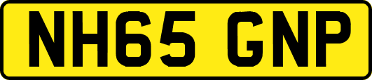 NH65GNP
