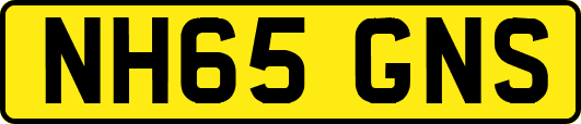 NH65GNS