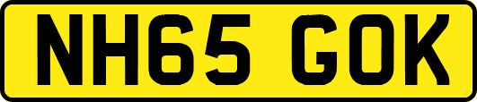NH65GOK