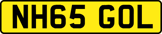 NH65GOL