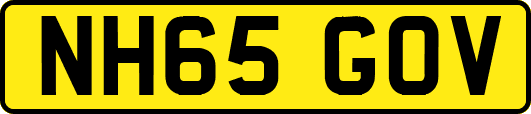 NH65GOV