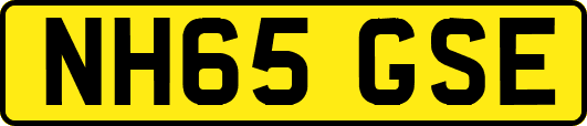 NH65GSE