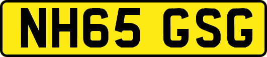 NH65GSG