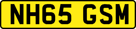 NH65GSM