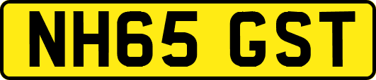 NH65GST