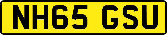 NH65GSU