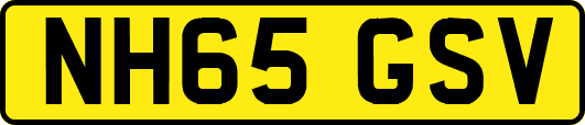 NH65GSV