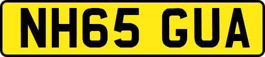 NH65GUA