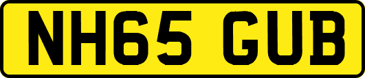 NH65GUB