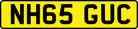 NH65GUC