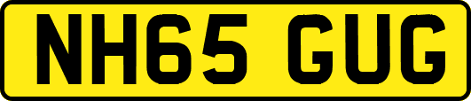 NH65GUG