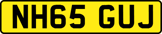 NH65GUJ