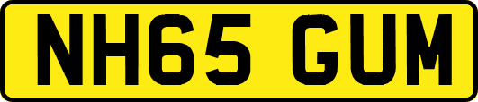 NH65GUM