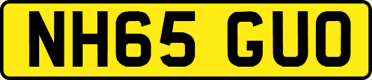 NH65GUO