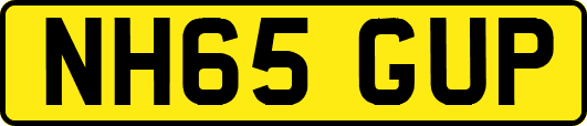 NH65GUP