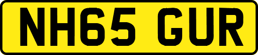NH65GUR