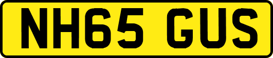 NH65GUS