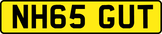 NH65GUT