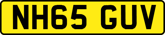 NH65GUV