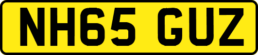 NH65GUZ