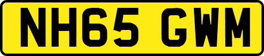 NH65GWM