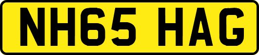 NH65HAG