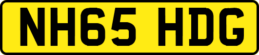 NH65HDG