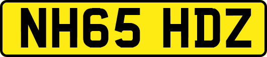 NH65HDZ