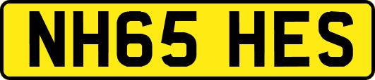 NH65HES