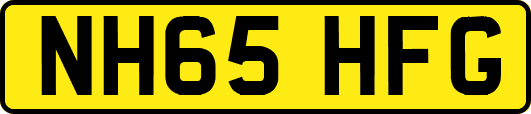 NH65HFG