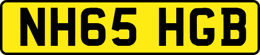 NH65HGB
