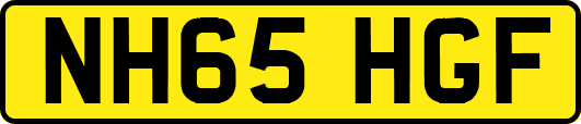 NH65HGF