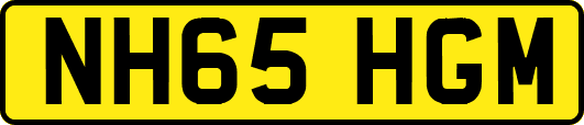 NH65HGM