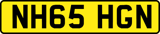 NH65HGN