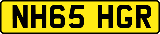 NH65HGR