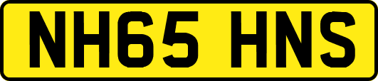 NH65HNS