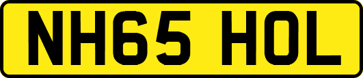 NH65HOL